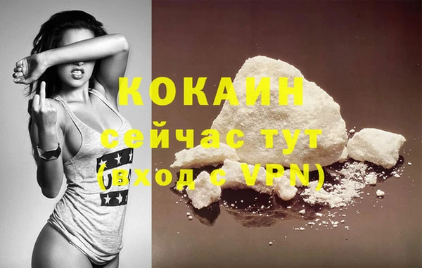 ПСИЛОЦИБИНОВЫЕ ГРИБЫ Строитель