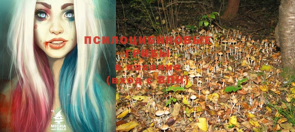 бошки Горнозаводск